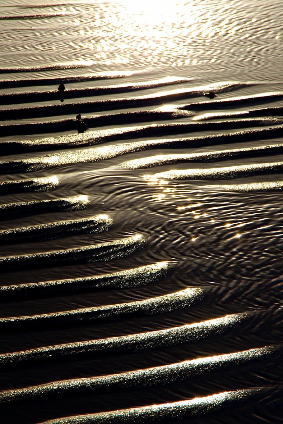 light, beach, sun, ambience, back light, sun and sea, relief HD wallpaper