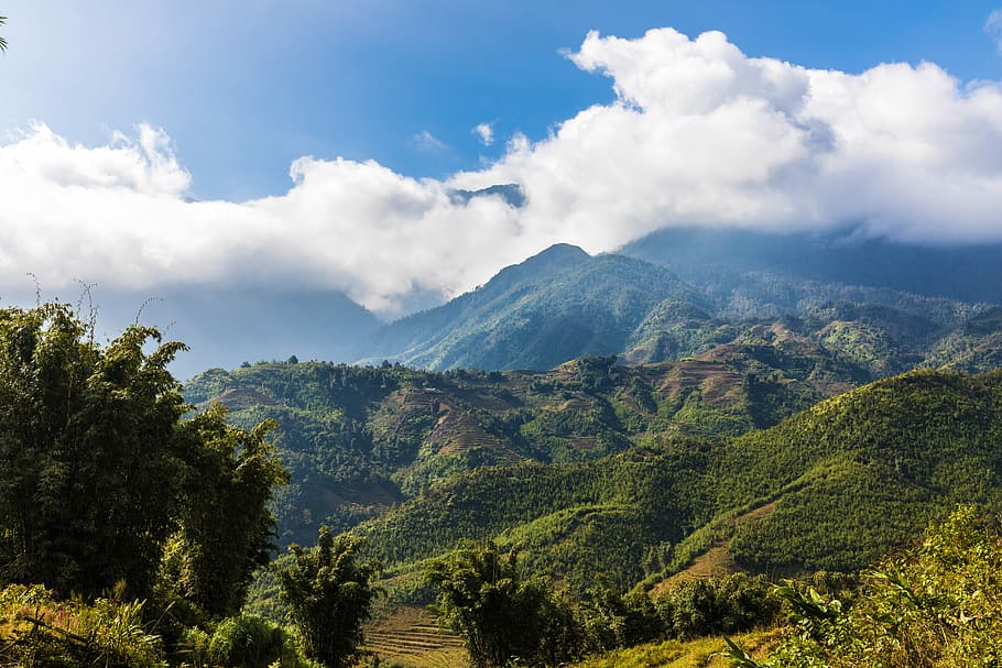 green leafed trees and mountains, nature, landscape, sky, sapa HD wallpaper