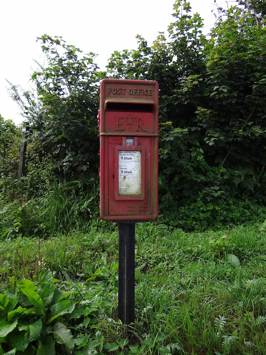 letter boxes, england, letters, mailbox, mail box, post, plant, HD wallpaper