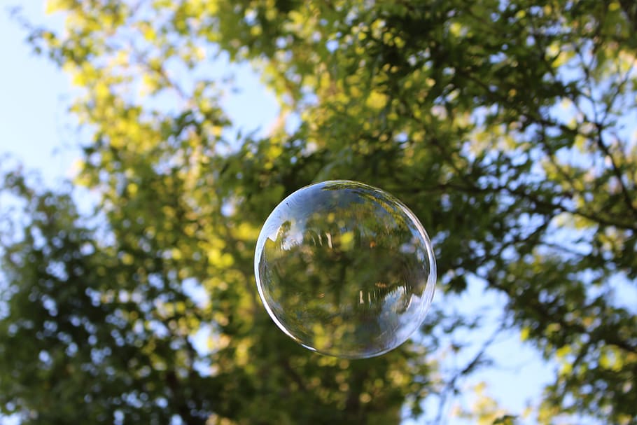 bubble, bubbles, tree, sky, nature, leaves, transparent, sphere HD wallpaper