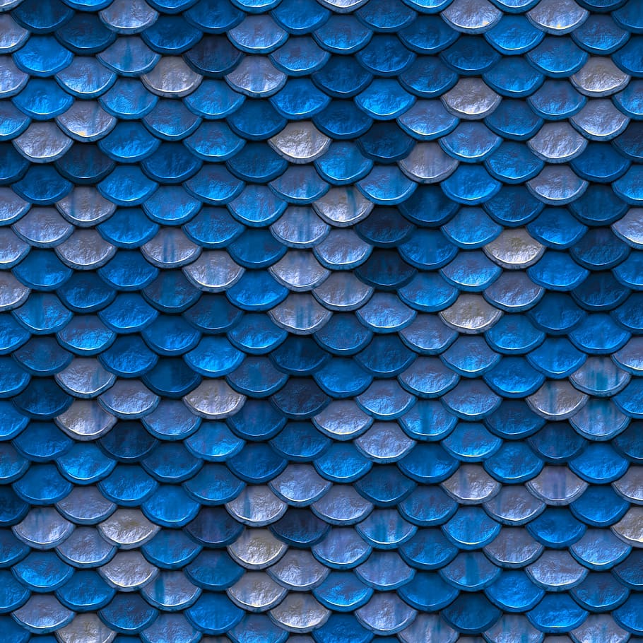 closeup photo of blue and gray scale wallpaper, background image HD wallpaper