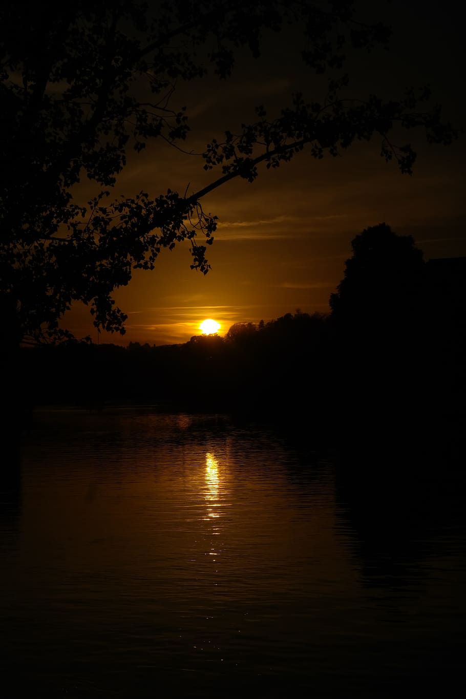 Sunset, River, Danube, Water, Tree, branch, evening, back light HD wallpaper