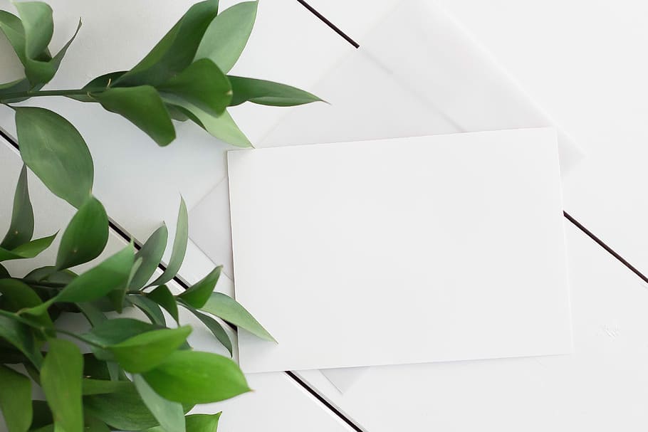 white envelope, background, leaves, white wood, card, letter