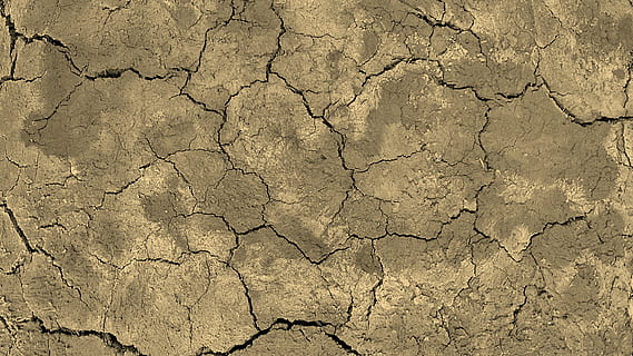focus photo of dry soil, earth, floor, texture, broken, cracks HD wallpaper