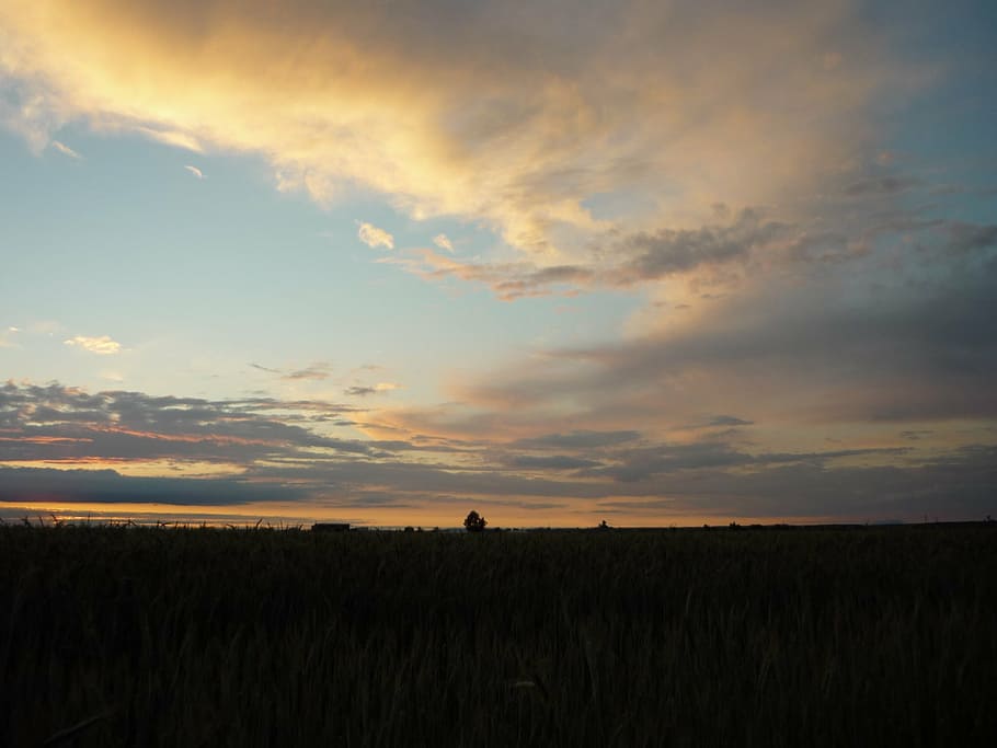badajoz, field, sky, clouds, nature, sunset, horizon, laid HD wallpaper