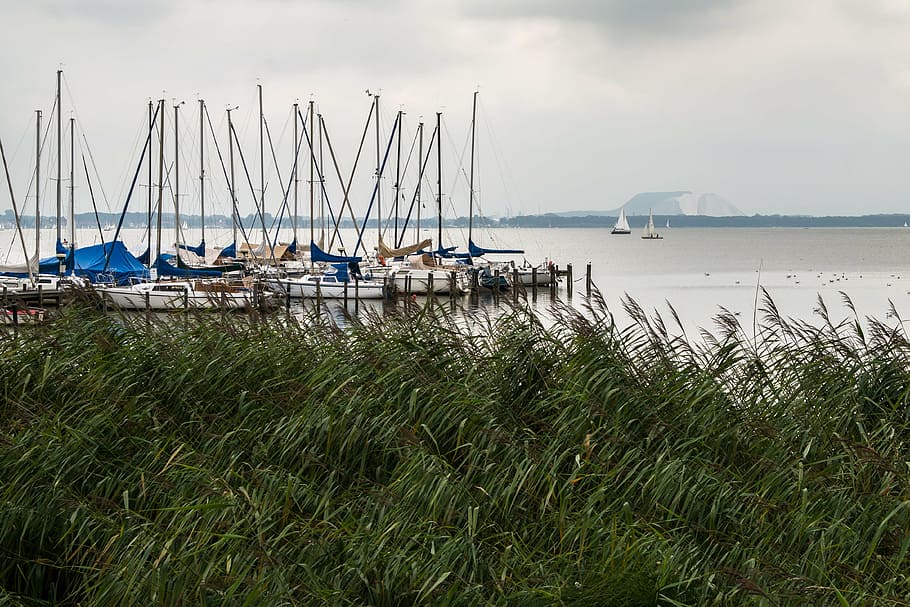 boats, lake, kai, web, port, pier, dock, sailing boats, water HD wallpaper