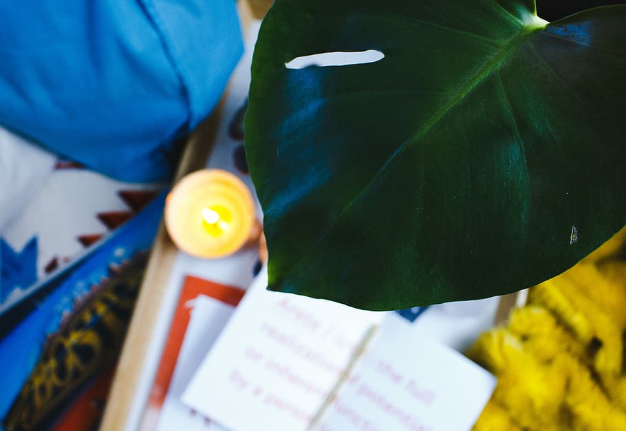 green leaf, candle, book, decor, one person, human body part HD wallpaper