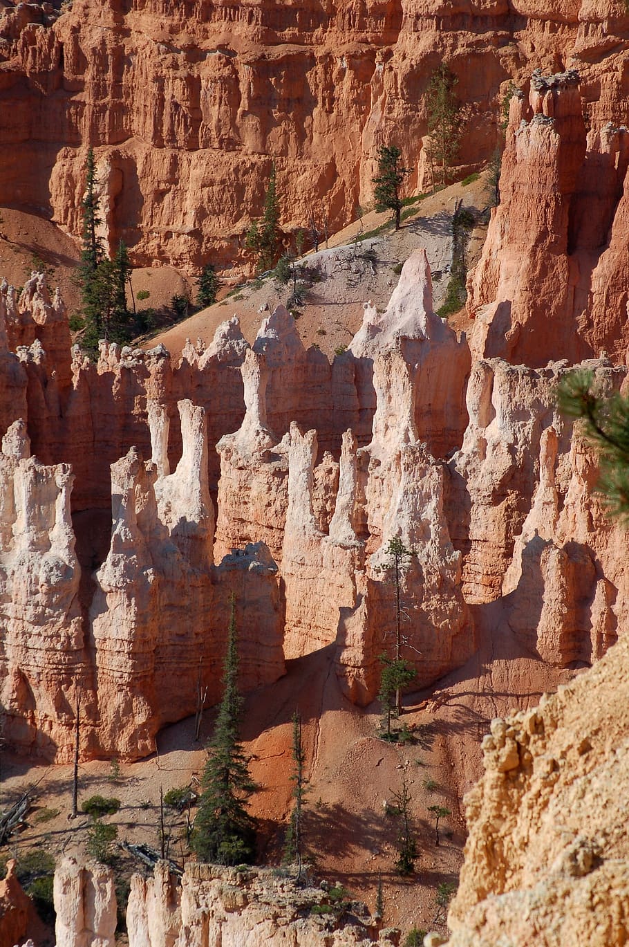 green trees on mountain at daytime, photo of brown stones and green trees during daytime HD wallpaper