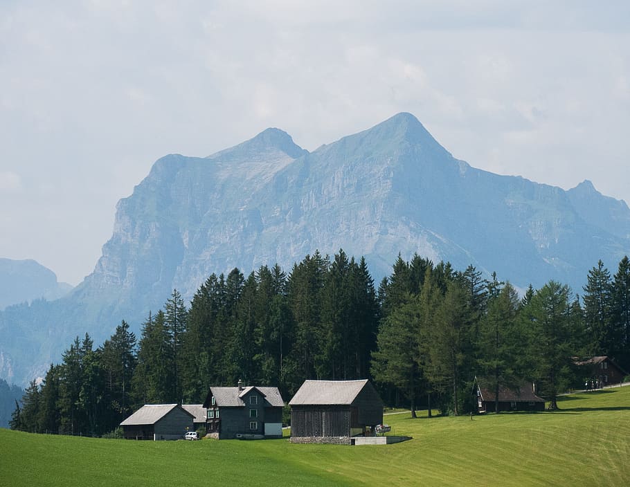 mountain, alm, hut, landscape, mountains, view, alpine, mountain landscape HD wallpaper