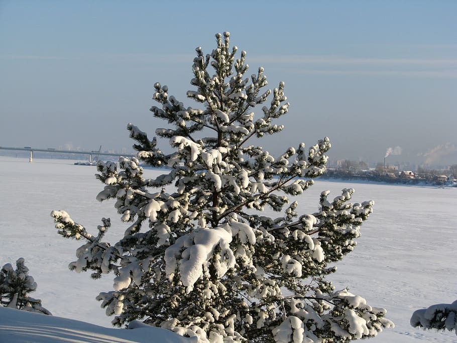 winter, ice, frost, snow, the river kama, russia, perm krai