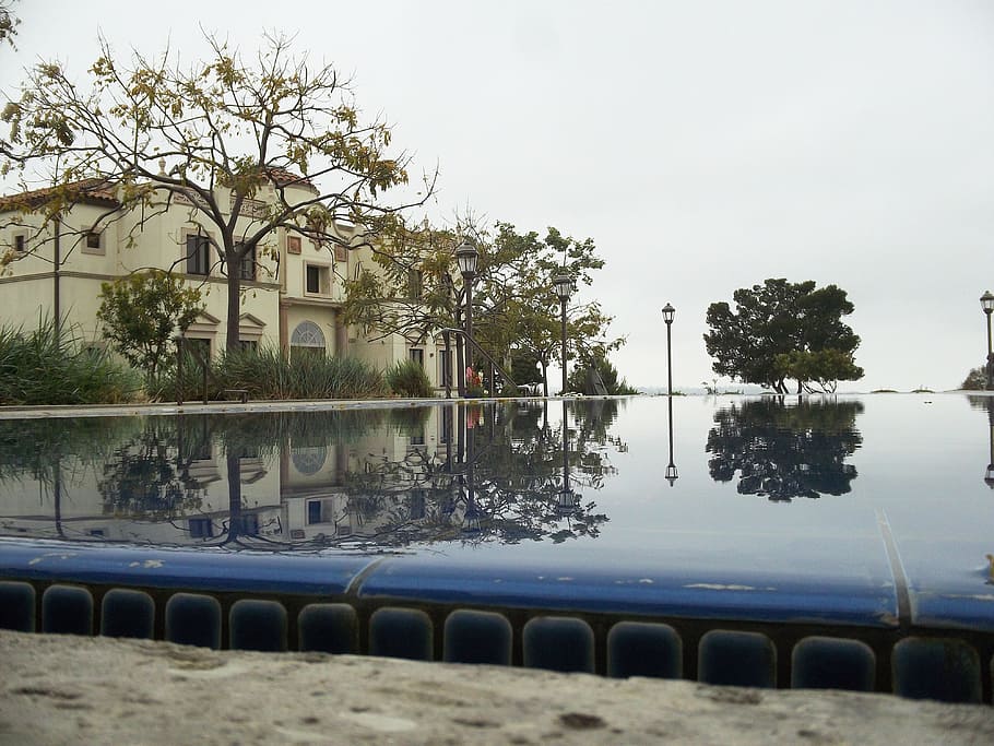 pool, tree, campus building, built structure, building exterior HD wallpaper