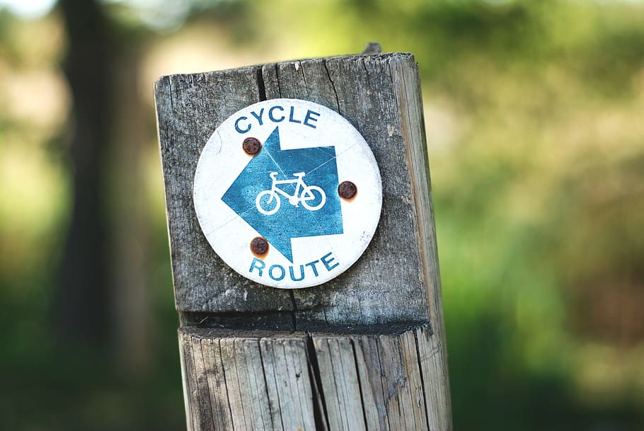 cycle, route, bicycle, bike, wood, trees, blur, exercise, hobby