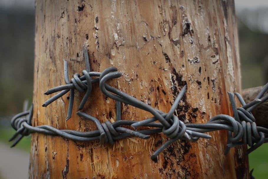 Barbed Wire, Post, pointed, fence post, pile, wood pile, safety HD wallpaper