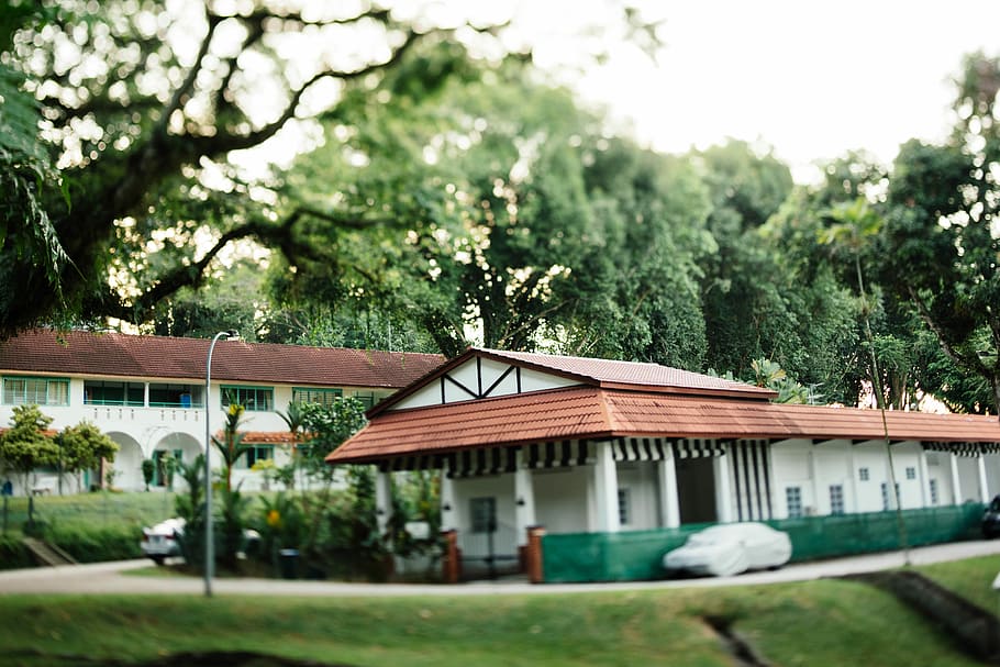 architectural photography of white building, white and brown house HD wallpaper