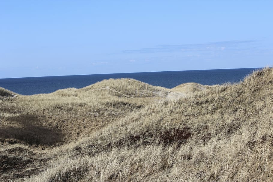 dunes, dry, drought, landscape, sea, sky, horizon over water HD wallpaper