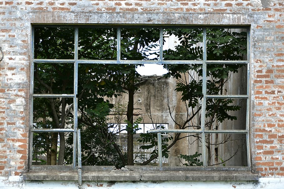 window, home, tree, abandoned, power plant, abandoned house HD wallpaper