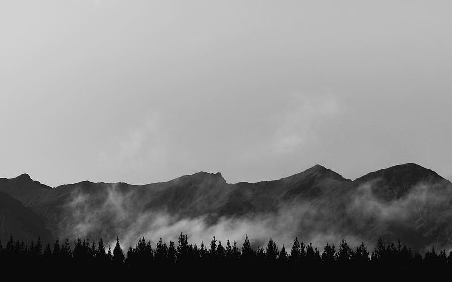 silhouette of pine trees with mountain background, landscape HD wallpaper