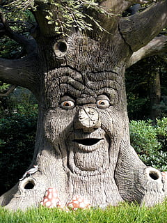brown tree with face artwork, efteling, enchanted forest, theme HD wallpaper
