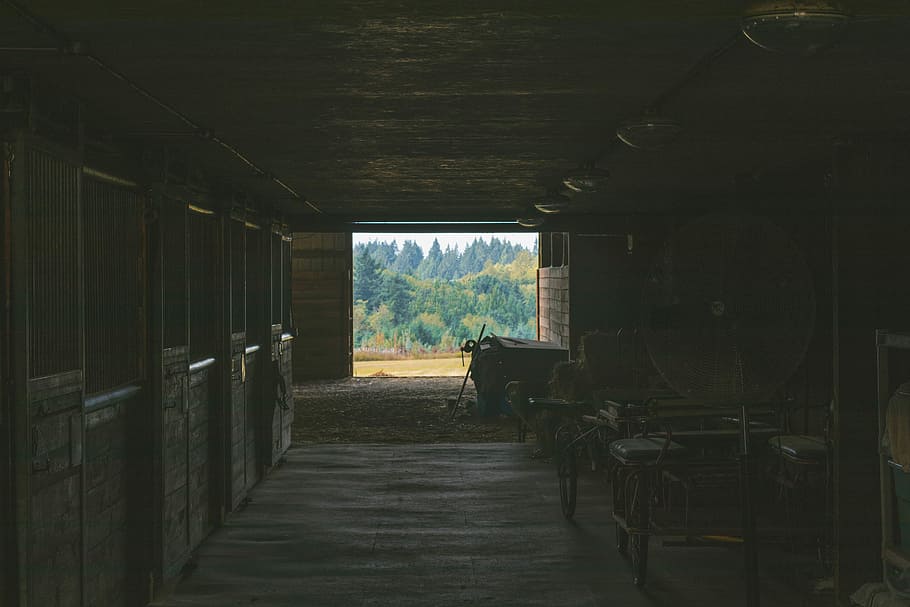 empty barn, photography of empty barn, stable, farm, boxes, dark HD wallpaper