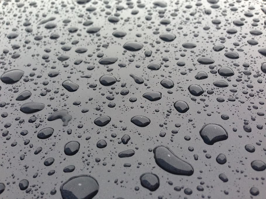 drops, rain, water, wet, full frame, backgrounds, no people HD wallpaper