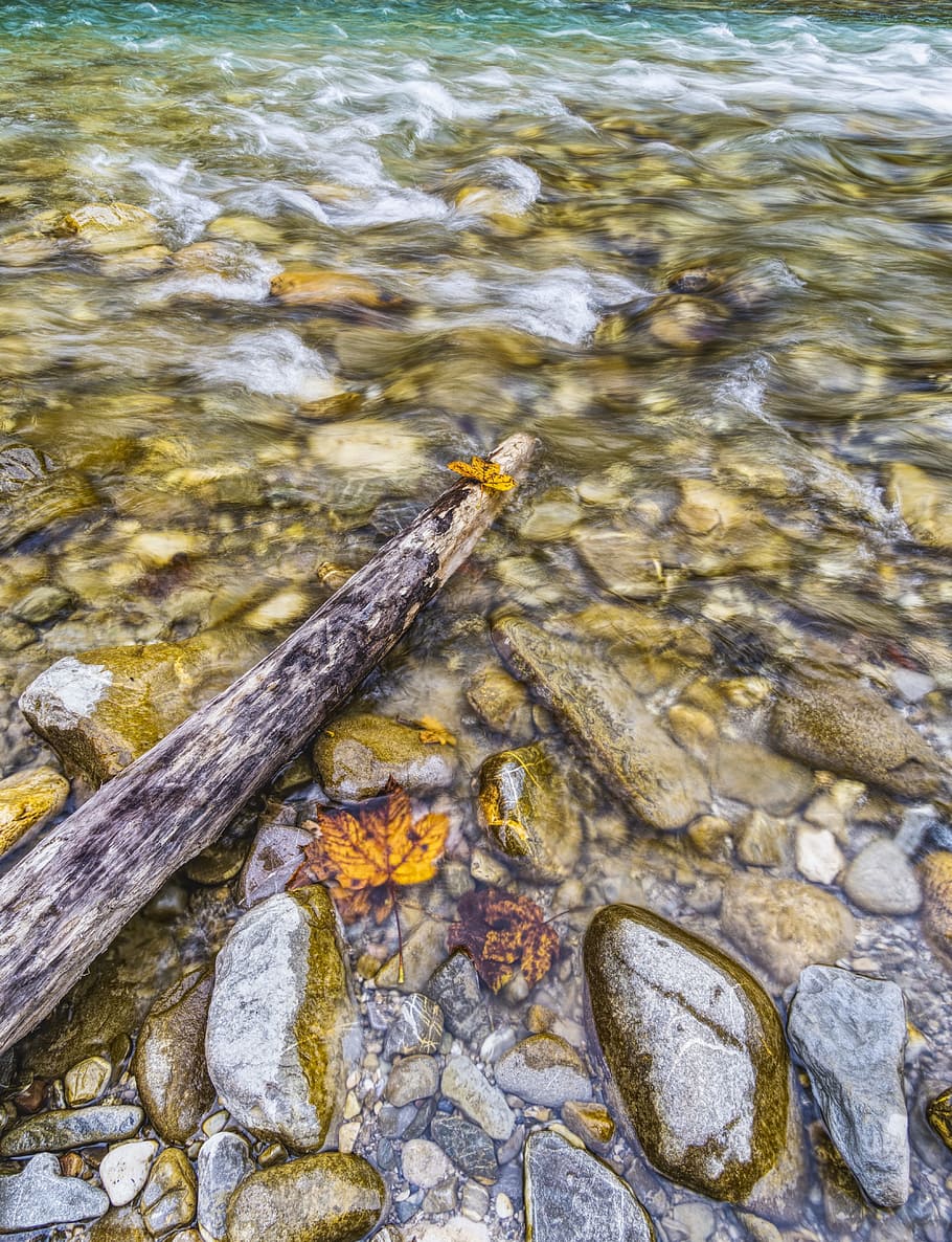 water, river, stones, wave, leaves, autumn, alpine, ammer, clear HD wallpaper