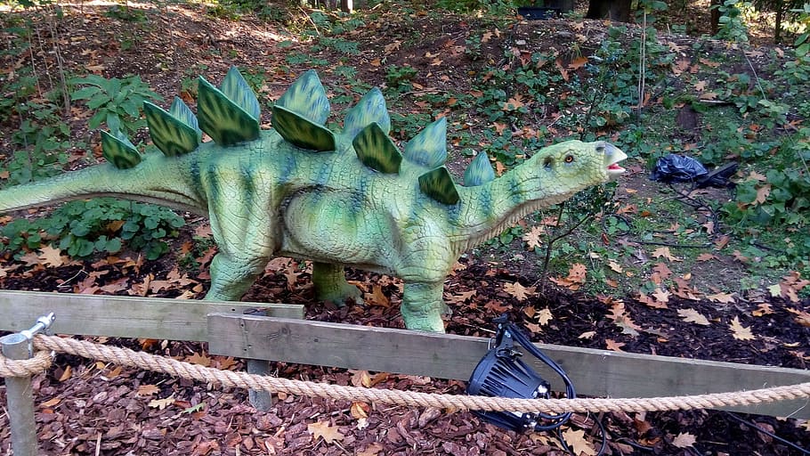 dinosaur, zoo, image, action, day, nature, no people, plant HD wallpaper