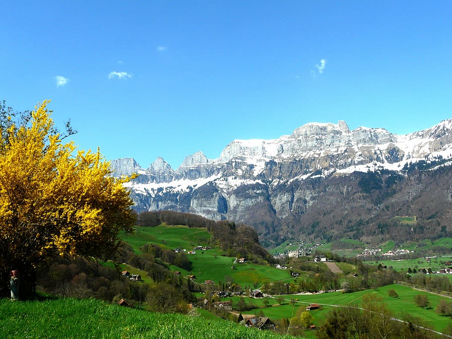 Alpine, Mountains, Glacier, Austria, meadow, spring, nature HD wallpaper