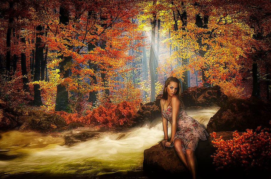 forest, model, river, nature, girl, autumn, one person, young women HD wallpaper