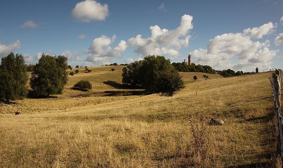landscape photography of trees during day time, nature, rural Scene HD wallpaper