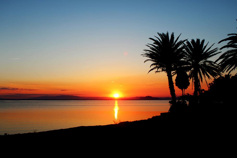 sunset, sleeve, lower mar, sky, silhouette, water, beauty in nature HD wallpaper