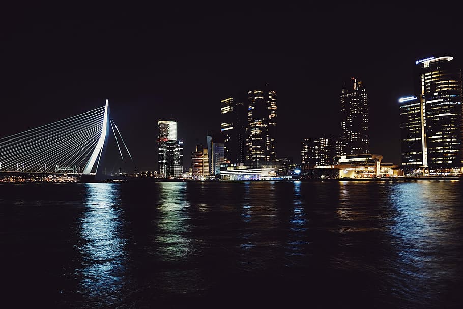 Dark Night in Rotterdam, concrete structures near body of water, HD wallpaper