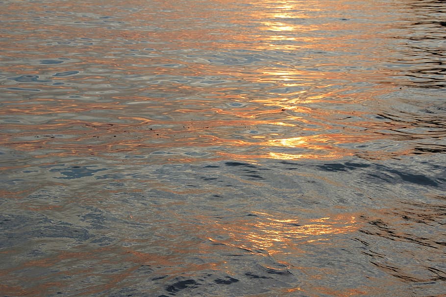 body of water, beach, wave, sunset, coast, sea, summer, beach water HD wallpaper