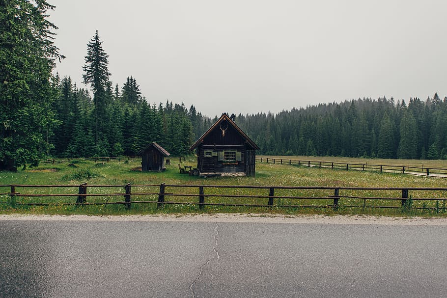 brown cabin on green field near pine trees, nature, landscape HD wallpaper