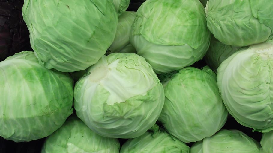 Green Cabbage, Vegetable, Food, food and drink, green color HD wallpaper