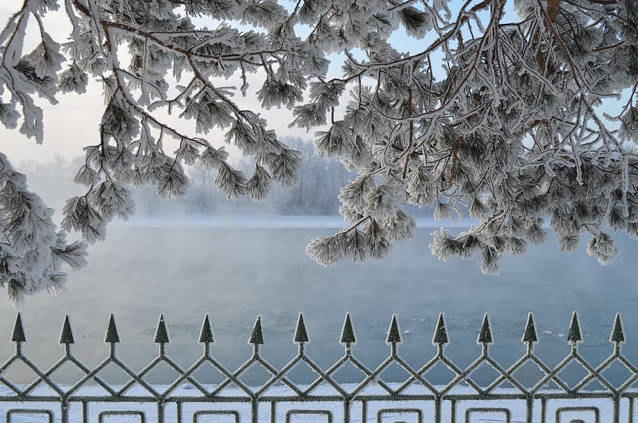 river, winter, siberia, landscape, trees, cold, rime, leann HD wallpaper