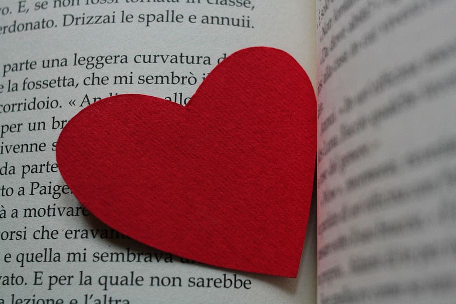 book, read, books, reading, open book, history, written, reflection HD wallpaper