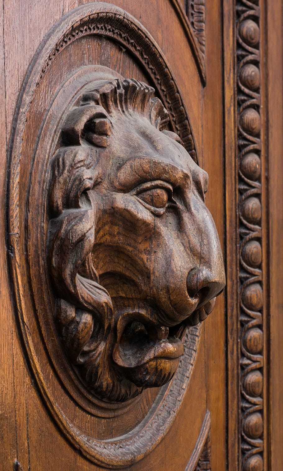 brown wooden carved lion figure, head, door, goal, lion head
