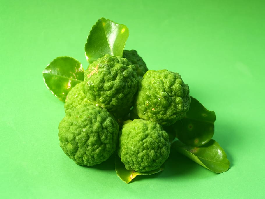 bergamot, fruit, leaf, isolated, thailand, rough, lemon, natural HD wallpaper