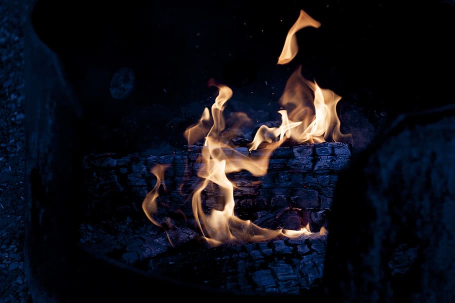 Fire, Wood, Flame, Heat, Hot, Burn, red, nature, firewood, log HD wallpaper