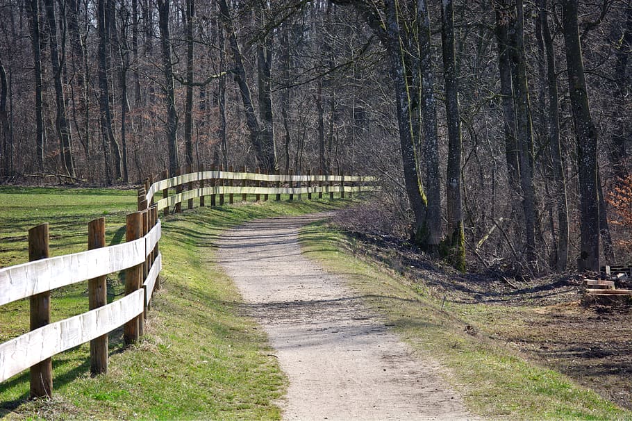 Away, Nature, Forest, Meadow, Pasture, fence, pasture fence HD wallpaper