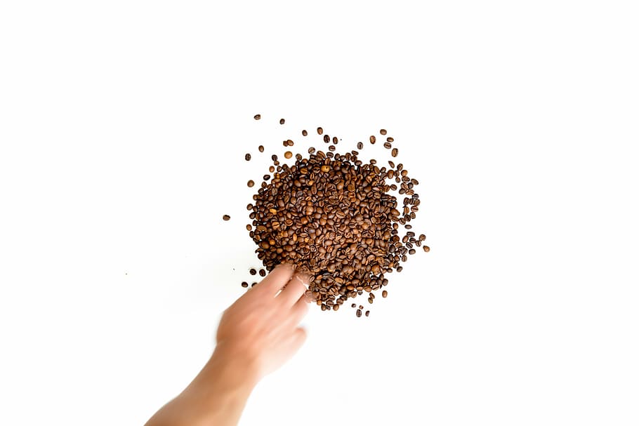 beans, caffeine, coffee, espresso, hand, kitchen, morning, taking HD wallpaper