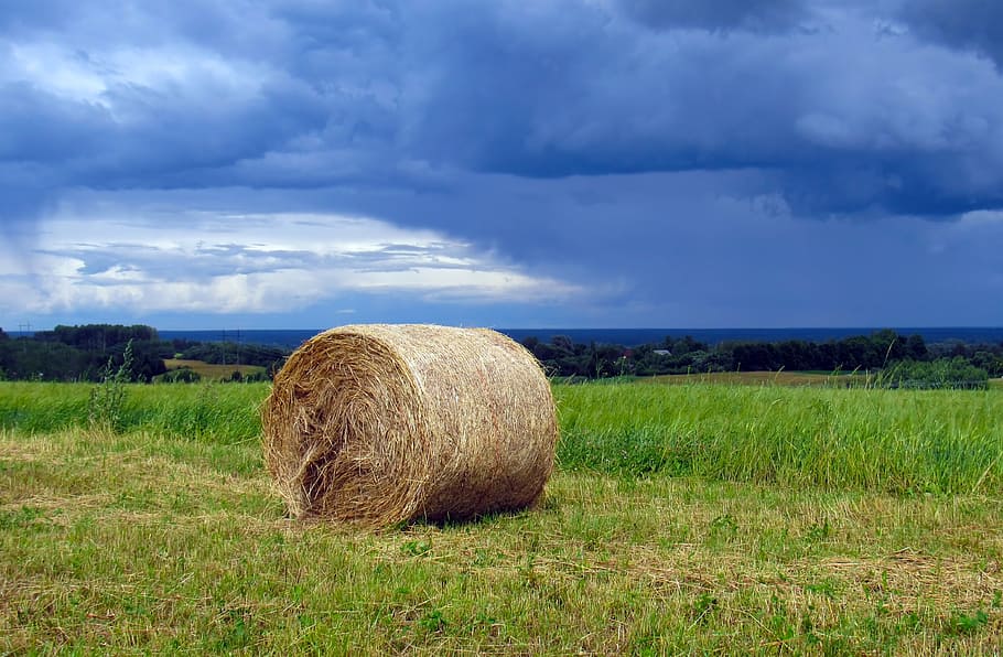 haymaking, grass, summer, village, landscape, field, clouds HD wallpaper