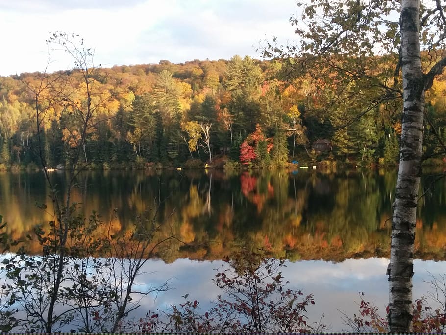 fall, haliburton, autumn, lake, ontario, canada, season, tranquil