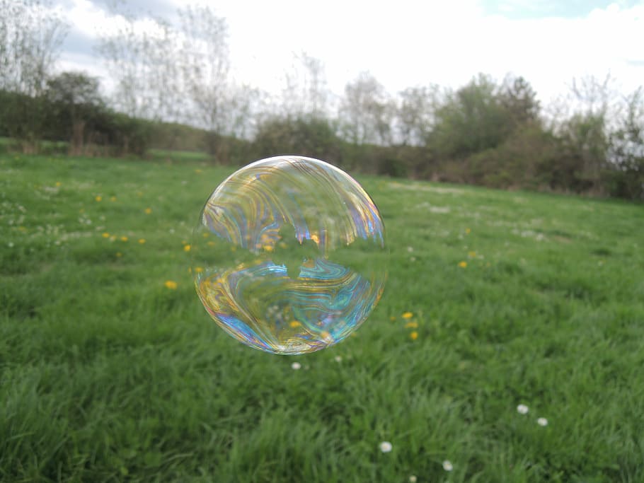 Soap Bubble, Grass, Meadow, Land, day, focus on foreground HD wallpaper