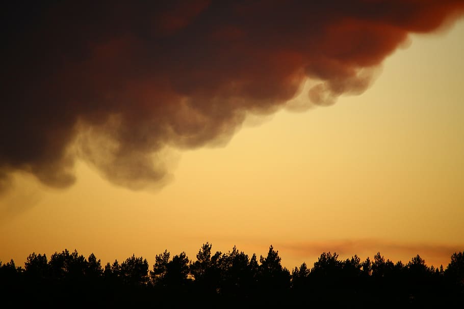 sky, clouds, forward, evening sky, dark clouds, sunset, clouds form HD wallpaper