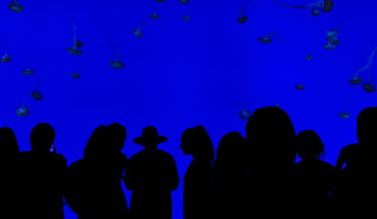 silhouette of people, abstract, art, celebration, crowd, dark HD wallpaper