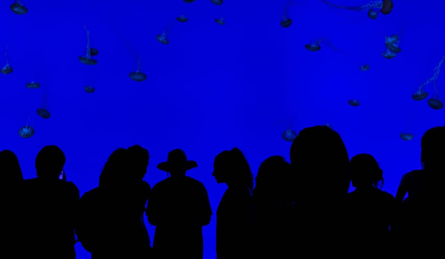 silhouette of people, abstract, art, celebration, crowd, dark HD wallpaper