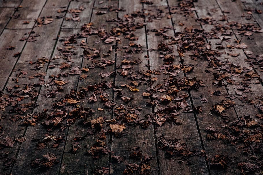weathered leaves on brown wooden pallet surface, dried, panel, HD wallpaper