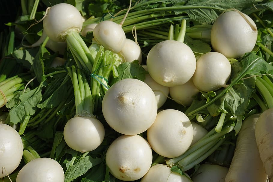 round radish lot, Turnip, Vegetables, White, may rübchen, nevett, HD wallpaper