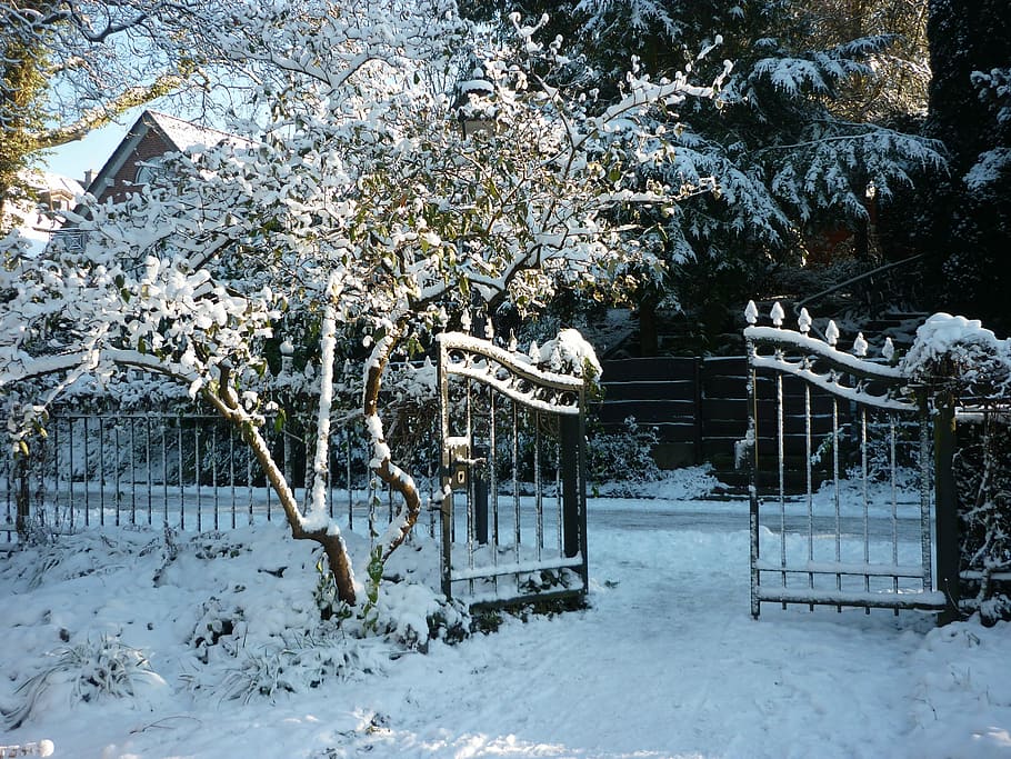 Winter, Snow, Wintry, Magic, Snowy, snow magic, goal, cold temperature HD wallpaper
